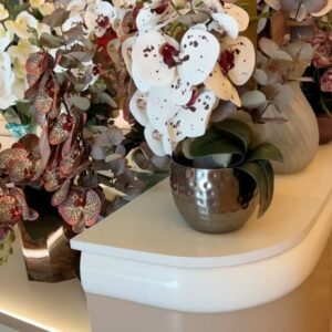 Solange Gomes Instagram - Hoje estive no shopping @villagemall e fui conhecer de pertinho a @maisondelorchidee.br da  maravilhosa jornalista e empresária @claudia_ccruz 

Se vocês assim como eu, são apaixonadas por orquídeas permanentes, essas são especiais, pois todos os arranjos são criados por @claudia_ccruz 

#arquitetura #designerdeinteriores #orquideas