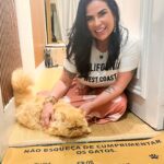 Solange Gomes Instagram - Se eu estou apaixonada por esses tapetes? Sim! Vejam o que a @seucapacho enviou pra gente. Agora você pode colocar a caricatura dos seus pets na entrada da sua casa. Que lindeza! Se quiser, podem usar o cupom de desconto SOLANGE10