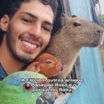 Solange Gomes Instagram - Em um mundo cheio de perversid@des, onde estamos exaustos de assistir cenas cruéis entre os humanos, o amor puro e sem interesses de um homem trabalhador pelos animais, incomodou. @agenor.tupinamba querido, assim como você, sou apaixonada pelos animais, eles são as melhores pessoas. Este vídeo seu é encantador e mostra que a Filo era amada e vivia livre, mas protegida por você da mald@de humana. #voltafilo O melhor lugar do mundo é onde está o amor verdadeiro. #voltafiló