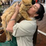 Solange Gomes Instagram - Domingo de passeio no shopping com o meu neto de pelo Eros. A vovó ama. #cats #gato #gatopersa ♥️🫶🏼🐱
