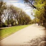 Soni Bringas Instagram - first bike ride in the city 🚲 the weather was perfect ☺️ can’t wait for summer
