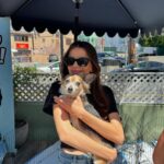 Sonia Ammar Instagram - Go volunteer at your local shelter or rescue! It will be the most rewarding experience of your life, I promise! People don’t realize how bad the shelter crisis (esp in California) 😢 So grateful to @westlasheltervolunteers volunteers for the incredible work they do & @itsyogishouse for rescuing so many dogs from the euthanasia list in overcrowded shelters 🐶🩵🪽 slide 2 - Oden is available to adopt at West LA shelter slide 4 - Sparky is available at West LA shelter slide 6 - Athena is available to adopt at West LA shelter slide 7 - Max is available to adopt at @itsyogishouse
