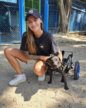 Sophia Thomalla Instagram - Während ich mich in den letzten Tagen mit Lügnern und schlechten Menschen befassen musste, befasse ich mich heute mal mit den Guten. Ich besuchte auf Einladung das Tierheim @dog_and_cat_rescue_samui ❤️ über 300 Hunde und 100 Katzen werden jeden Tag dort betreut. Es gibt täglich ärztliche Behandlungen, Strandspaziergänge, Versorgung und ganz viel Liebe! Was für tolle Leute! ❤️ Hab eine Spende dagelassen, Futter mitgebracht und eine Patenschaft übernommen. Timo (vorletztes Bild) ist mein neues Patenkind 🐶. Besucht und spendet gerne wenn ihr mal hier sein solltet! Die Tiere würden sich freuen