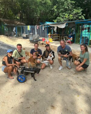 Sophia Thomalla Instagram - Während ich mich in den letzten Tagen mit Lügnern und schlechten Menschen befassen musste, befasse ich mich heute mal mit den Guten. Ich besuchte auf Einladung das Tierheim @dog_and_cat_rescue_samui ❤️ über 300 Hunde und 100 Katzen werden jeden Tag dort betreut. Es gibt täglich ärztliche Behandlungen, Strandspaziergänge, Versorgung und ganz viel Liebe! Was für tolle Leute! ❤️ Hab eine Spende dagelassen, Futter mitgebracht und eine Patenschaft übernommen. Timo (vorletztes Bild) ist mein neues Patenkind 🐶. Besucht und spendet gerne wenn ihr mal hier sein solltet! Die Tiere würden sich freuen