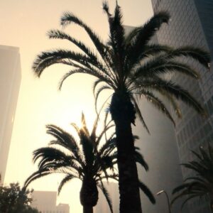 Sophie Marceau Instagram - Bonjour à tous,
Ravie de vous retrouver le 11 mars sur @primevideofr pour un petit voyage en Californie dans I Love America 🇺🇸 le prochain film de @lisazuelos. 
J'espère que vous allez bien
Je vous embrasse
Sophie

#ILoveAmericaPrime