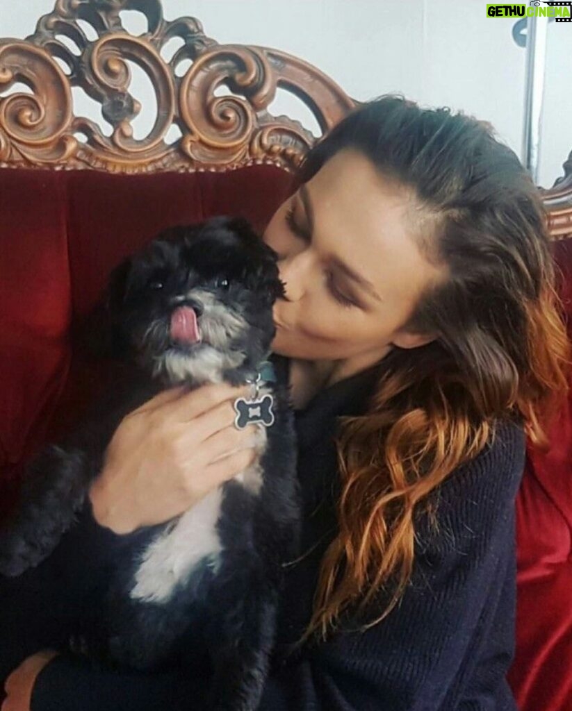 Sophie Skelton Instagram - This week the industry lost an incredible talent, person and presence. His shoots were so fun and puppy-filled and his photographs were always sublime. A sense of humour and a lens full of love. I don’t know one artist who didn’t enjoy working with him. Sending love to the skies 🕊️ and to Joseph’s family. Long may his work circulate, and his talent and life live on through his art. Here’s a shoot we did together some years ago. Thank you, @josephsinclair x