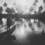Sreenath Bhasi Instagram - #kumbalanginights