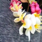 Stana Katic Instagram - Maui, you gifted so much to so many of us. My prayer is that you are respected in this time of healing & protected in our future. 💜