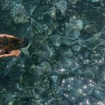 Stefania Spampinato Instagram - Tra una granita e un arancino…