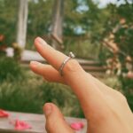 Stefany Vaz Instagram - ‭𝙼𝚊𝚝𝚎𝚞𝚜 𝟼‬‬: ²⁶Observem os pássaros. Eles não plantam nem colhem, nem guardam alimento em celeiros, pois seu Pai celestial os alimenta. Acaso vocês não são muito mais valiosos que os pássaros? ²⁷Qual de vocês, por mais preocupado que esteja, pode acrescentar ao menos uma hora à sua vida? Se Ele cuida até dos pássaros, imagina eu que sou filha! Estou aprendendo a depender totalmente dEle, e é muito bom. Meu orgulho tem sido quebrado constantemente, mas como é incrível estar caminhando pra esse lugar de plenitude. Confiar e permanecer <3