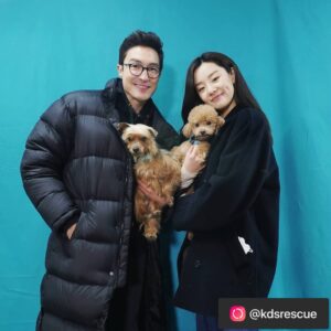 Stephanie Lee Instagram - 며칠 전 저희 코리안독스에서 60마리가 넘는 번식장 아이들을 1차 2차 3차에 걸쳐 구조했고, 그 중 3차 마지막 구조현장에서는 평소 유기견 아이들에게 마음이 남다른 다니엘 헤니씨와 @danielhenney 스테파니리씨가 @stephanielee199 함께 하였습니다. 구조를 함께 도와주시고 또 아이들 입양에 도움이 될수있도록 프로필 사진을 찍어주신 두분께 진심으로 감사드려요❤
⠀⠀⠀⠀⠀
-------------------------------------------------------------------------------------------
⠀⠀⠀⠀⠀
🌸이름 : 파피 (갈색 푸들)
성별 : 여아 (중성화 完)
나이 : 6세 이상 추정
몸무게 : 4kg

처음 보는 사람에게도 무한 애정을 보내주는 사랑스러운 아이! 에너지도 엄청 넘침! 파피와 매일매일 신나는 산책을 즐겨줄 수 있는 엄마 아빠를 찾습니다!

🌸이름 : 맥스 (요크셔테리어/사진왼쪽)
성별 : 여아 (중성화 完)
나이 : 6세 이상 추정 
몸무게 : 4kg

낯을 가려서 처음 보는 사람에겐 겁을 좀 내요. 하지만 그만큼 순한 성격을 가진 아이랍니다. 맘 아프게도 오랜 뜬 장 생활로 등이 살~짝 굽어 있어요. 더 이상 상처받지 않게 곁에서 잘 보살펴줄 분을 찾아요!

🌸이름 : 튼튼이 (말티즈 믹스)
성별 : 남아
나이 : 7세 이상 추정
몸무게 : 4kg 

뜬 장에서 힘든 생활을 짐작할 수 있게 마르고 약해진 모습이 맘을 아프게 해요. 구조된 후 하루하루가 다르게 힘을 회복하고 있지만, 따뜻한 보금자리에서 사랑을 받으면 더 빨리 회복할 거 같아요! 
⠀⠀⠀⠀⠀
⠀⠀⠀⠀⠀
#레인보우쉼터
#다니엘헤니
#스테파니리
#코리안독스
