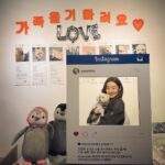 Stephanie Lee Instagram - 하나 공주와 유엄빠 바자회 다녀왔어요~🐩🐩🐩🐩🐩🐶🐶🐶🐶🐶 @youumbba @youumbba_adopt