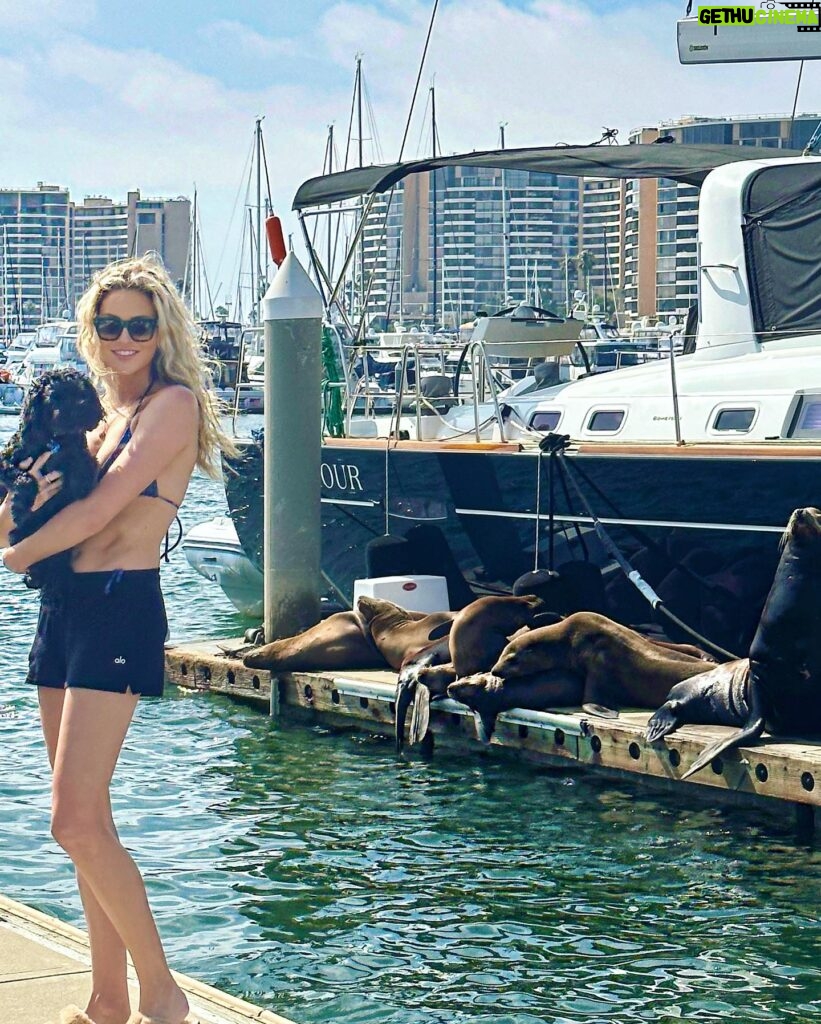 Stephanie Pratt Instagram - Sea Lion heaven 😍🥰 I think in my next life I want to be a marine biologist 👩🏼‍🔬🤩