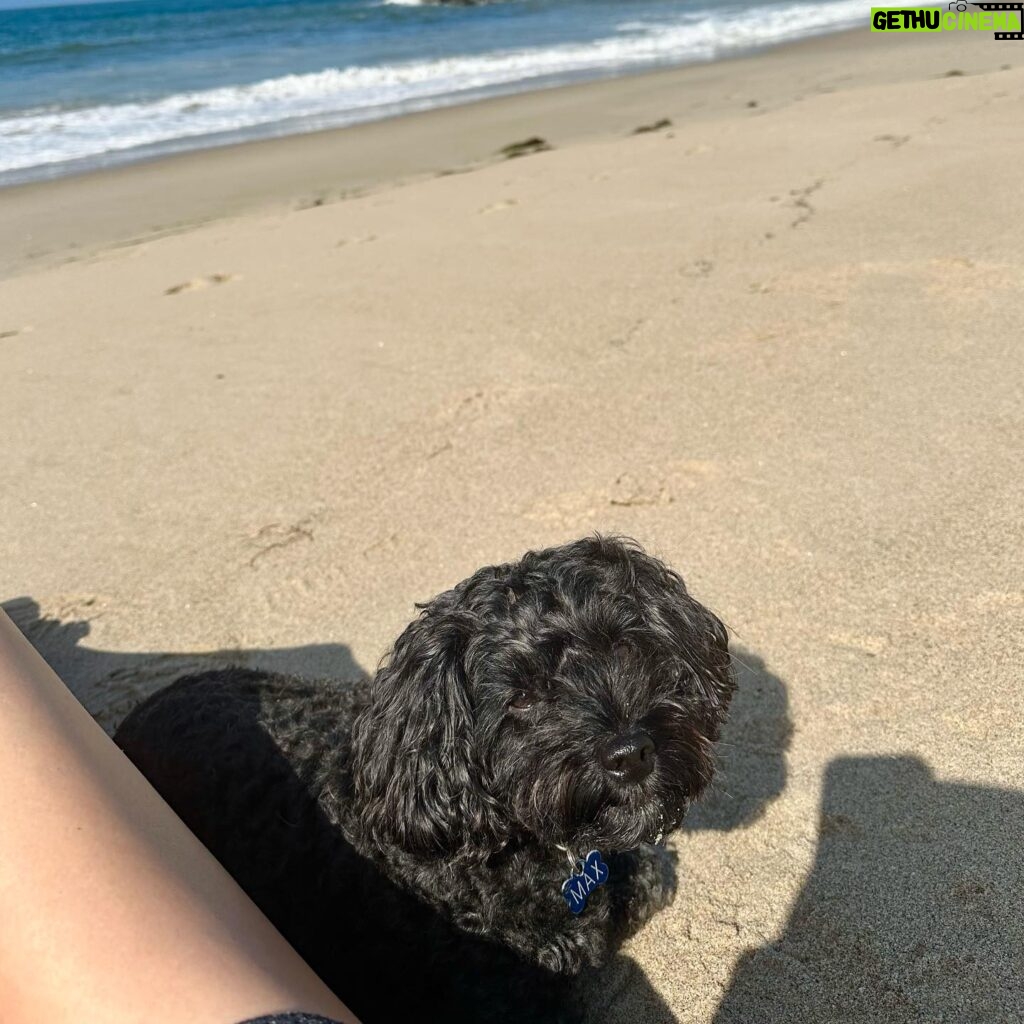 Stephanie Pratt Instagram - He has such a sweet little boy smile!!🥰😊🥰😊❤️ the good boy!