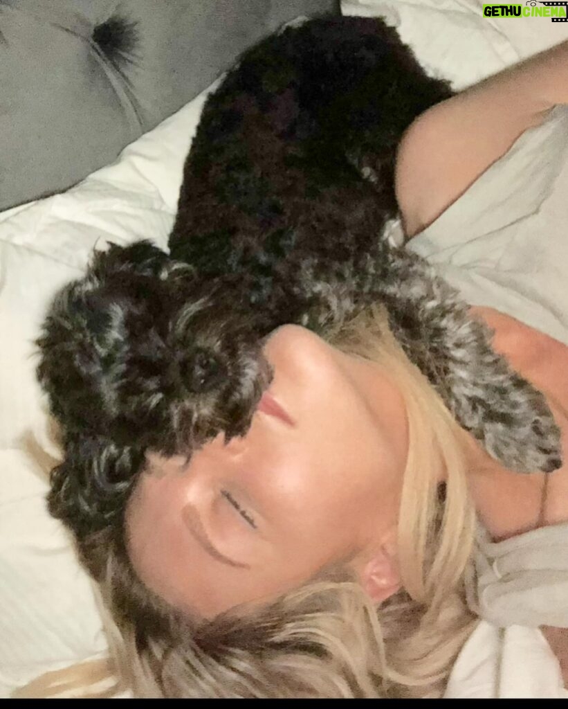 Stephanie Pratt Instagram - We lost our best friend Charlie in 2023. When I play old videos of them playing, max cries and paws at my phone. Charlie was the absolute sweetest dog. On Christmas morning 2022 he woke up completely blind. His last year on earth was absolutely miserable for all of us… he was so strong. And we kept him as happy as possible until he left us for doggy heaven. All of our hearts are still broken. Hopefully 2024 brings more peace. 🐾🐾🐾😇