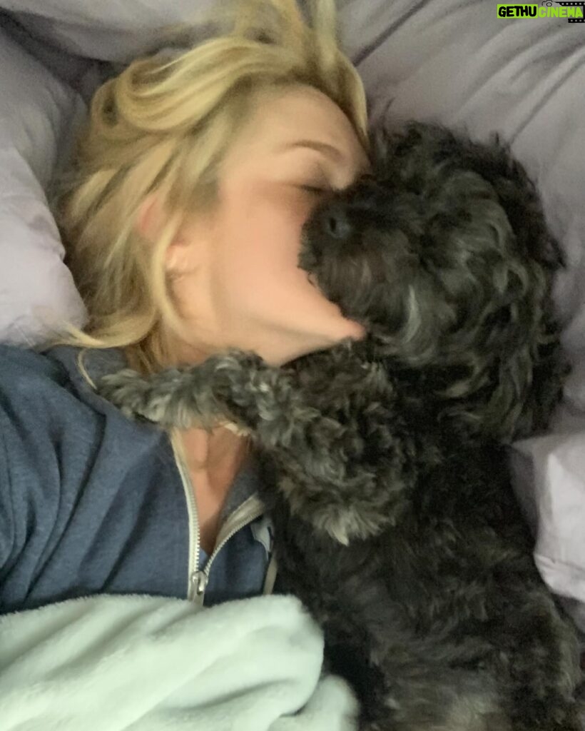 Stephanie Pratt Instagram - We lost our best friend Charlie in 2023. When I play old videos of them playing, max cries and paws at my phone. Charlie was the absolute sweetest dog. On Christmas morning 2022 he woke up completely blind. His last year on earth was absolutely miserable for all of us… he was so strong. And we kept him as happy as possible until he left us for doggy heaven. All of our hearts are still broken. Hopefully 2024 brings more peace. 🐾🐾🐾😇