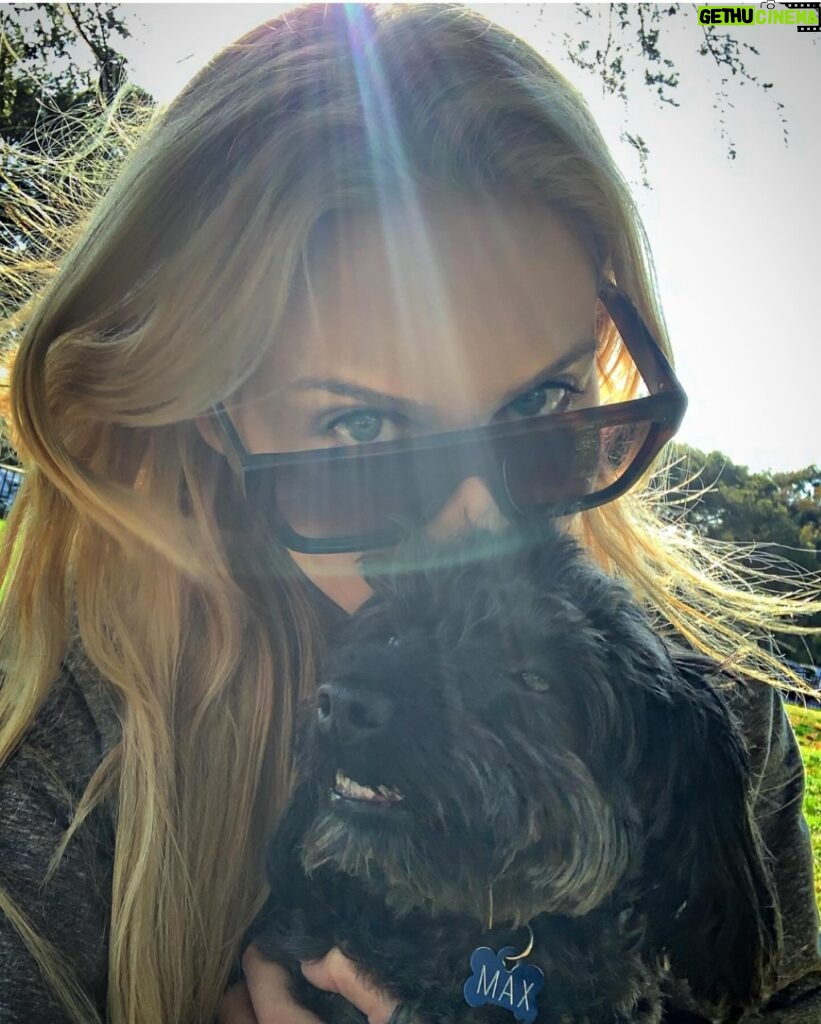 Stephanie Pratt Instagram - Happy New Year!!!! And Happy 6th Birthday to my little noodle head named Max ❤️🐶 he’s the best boy I’ve met from Essex 😂. My best friend and my favorite travel buddy ❤️ he’s with me literally every second and has been on about 40 flights with me in the past 7 years & He has permanent shotgun in my car 🚗. If I’m not his pillow, he’s mine for every nap and night. He is the greatest gift everyday. ❤️❤️❤️❤️❤️❤️❤️❤️ you guys noticed his tag says Henry… when I filed his paperwork I chose the name Henry, but when I brought him home… he seemed much more like a “Max.” I actually named him after “Max Burger” in Sweden- bc it was the best burger 🍔 I’ve ever had 😂🤣😂. So officially on his passport is Max Henry 😂🥰