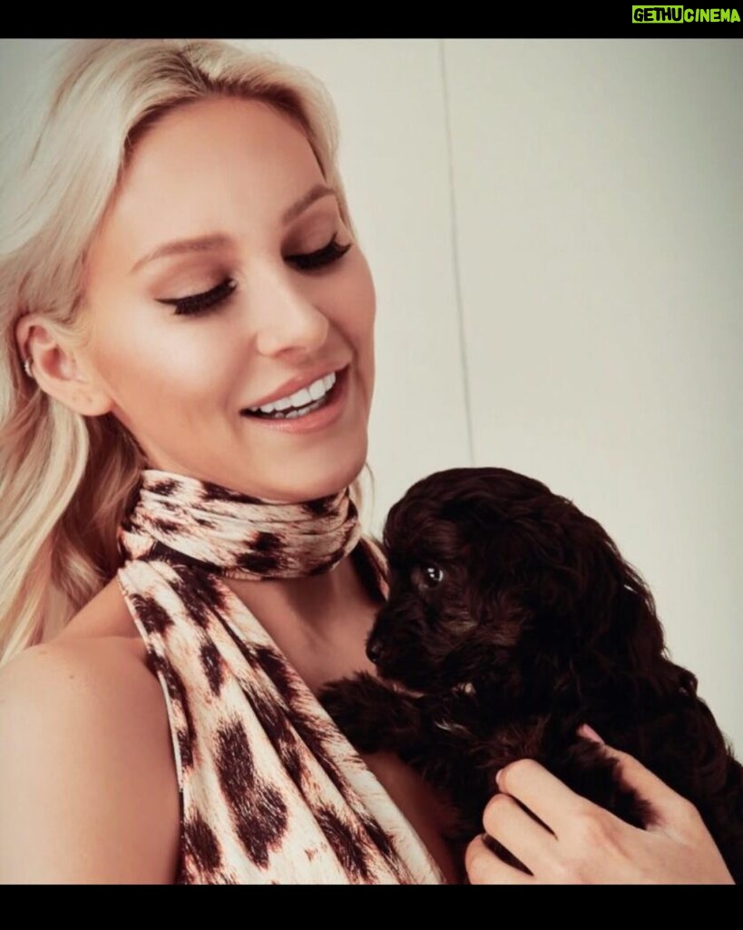 Stephanie Pratt Instagram - Happy New Year!!!! And Happy 6th Birthday to my little noodle head named Max ❤️🐶 he’s the best boy I’ve met from Essex 😂. My best friend and my favorite travel buddy ❤️ he’s with me literally every second and has been on about 40 flights with me in the past 7 years & He has permanent shotgun in my car 🚗. If I’m not his pillow, he’s mine for every nap and night. He is the greatest gift everyday. ❤️❤️❤️❤️❤️❤️❤️❤️ you guys noticed his tag says Henry… when I filed his paperwork I chose the name Henry, but when I brought him home… he seemed much more like a “Max.” I actually named him after “Max Burger” in Sweden- bc it was the best burger 🍔 I’ve ever had 😂🤣😂. So officially on his passport is Max Henry 😂🥰