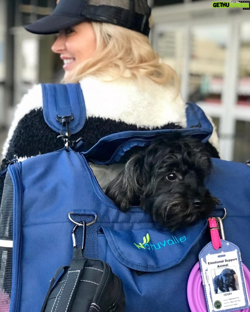 Stephanie Pratt Instagram - Happy New Year!!!! And Happy 6th Birthday to my little noodle head named Max ❤️🐶 he’s the best boy I’ve met from Essex 😂. My best friend and my favorite travel buddy ❤️ he’s with me literally every second and has been on about 40 flights with me in the past 7 years & He has permanent shotgun in my car 🚗. If I’m not his pillow, he’s mine for every nap and night. He is the greatest gift everyday. ❤️❤️❤️❤️❤️❤️❤️❤️ you guys noticed his tag says Henry… when I filed his paperwork I chose the name Henry, but when I brought him home… he seemed much more like a “Max.” I actually named him after “Max Burger” in Sweden- bc it was the best burger 🍔 I’ve ever had 😂🤣😂. So officially on his passport is Max Henry 😂🥰