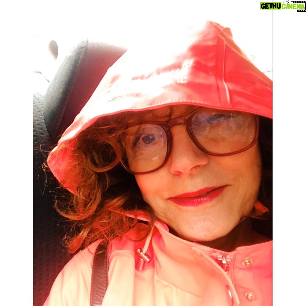 Susan Sarandon Instagram - When it’s raining. ☔️