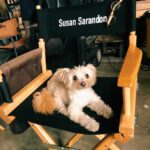 Susan Sarandon Instagram - This.