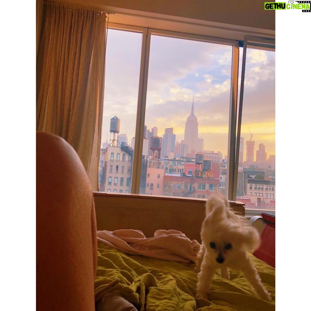 Susan Sarandon Instagram - Morning ✌🏻