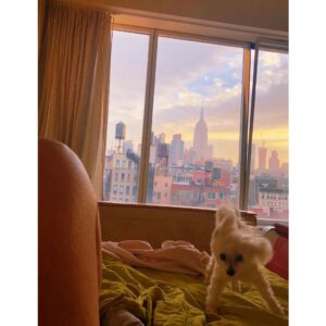 Susan Sarandon Thumbnail - 40.5K Likes - Top Liked Instagram Posts and Photos