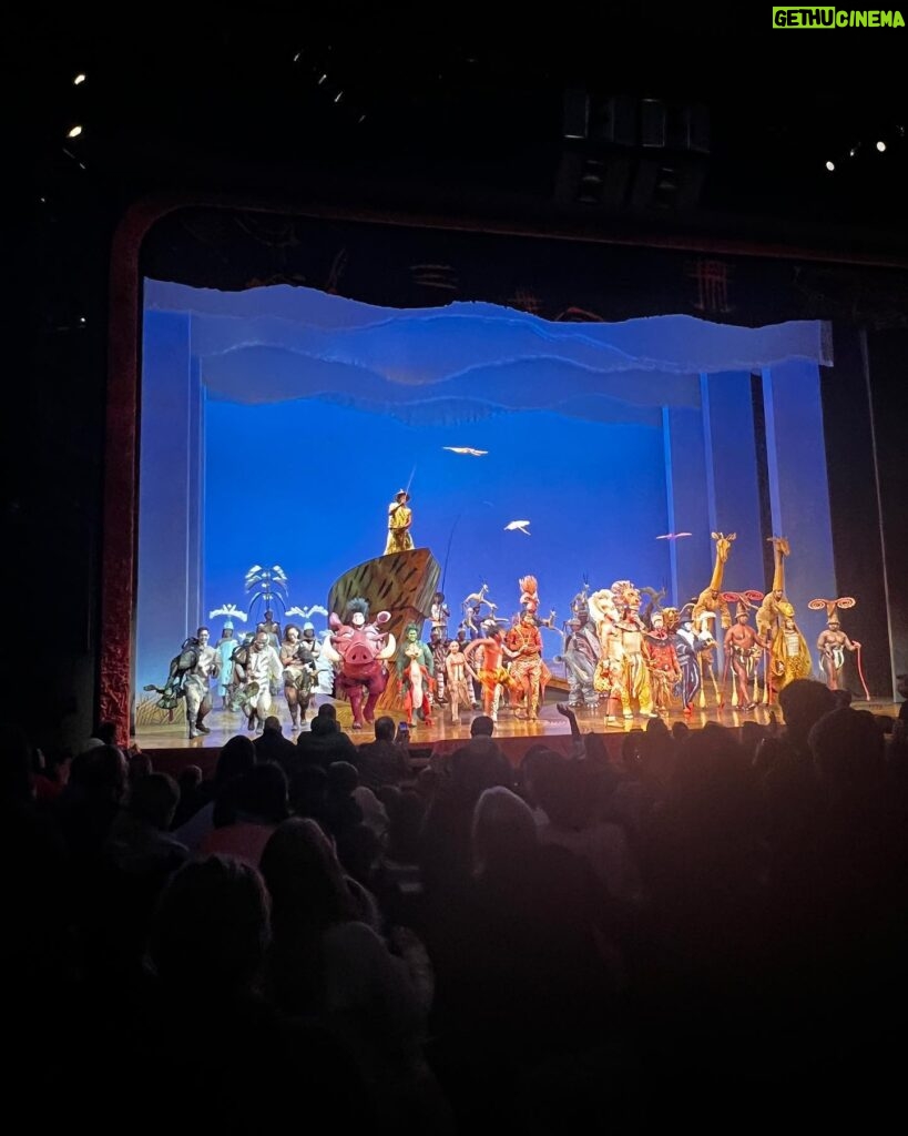 Susan Sarandon Instagram - Brought the grandkids to @thelionking . My 4th time and I still wept at the first number. What a treat. Thank you @carlile1 @thefredberman
