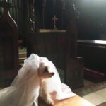 Susan Sarandon Instagram - Penny said yes to the dress.