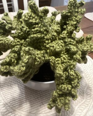 Sutton Foster Instagram - Can’t stop, won’t stop! Another crocheted house plant!

❤️  🧶=🪴!

I used Lion Brand yarn! 
Pattern by Emma Varnam!

@lionbrandyarn 
@emmavarnam 

#crochet #crochetersofinstagram #crochetaddict #crochetlove #crocheteveryday