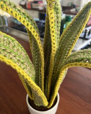 Sutton Foster Instagram - A special crocheted house plant for the one and only Julien Havard!

❤️  🧶=🪴!

I used Lion Brand yarn! 
Pattern by Emma Varnam!

@wantsomejulien 
@lionbrandyarn 
@emmavarnam 

#crochet #crochetersofinstagram #crochetaddict #crochetlove #crocheteveryday