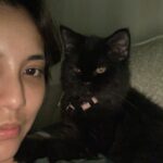 Sweet Qismina Instagram - Lisa kesayangan kakak, I have never met a cat like you 🖤 Bila malam nak tidur kena hisap jari, Bila malam nak tidur duduk atas muka, Bila malam bising cari kita macam kita la Ibu dia. Bila dah besar dari jauh panggil mesti terus lari datang ke kita. Bila sakit tak pernah pun dengar suara, diam je. Bila nak sayang selalu pandang atas nak laga hidung. People called you hitam, tak lawa, but you are the prettiest and youngest princess in our family 👸🏻 Lisa, tak sangka in just less than 2 years kita kenal, Allah amik awak hari ni. Baru semalam kakak hug awak. Baru semalam kakak kiss awak. Baru semalam kakak menari dengan awak. Rindu tu menyakitkan. Jaga diri adik kakak. Kakak sayang awak. January 2022 - September 2023 🐱🖤