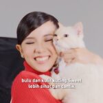 Sweet Qismina Instagram - Lepas 21 hari, pasti nampak perbezaannya. Berikan si comel anda makanan yang dirumus khas dari Royal Canin 🐱❤️ #RoyalCaninMalaysia #RoyalCaninHairandSkin #FelineCareNutrition
