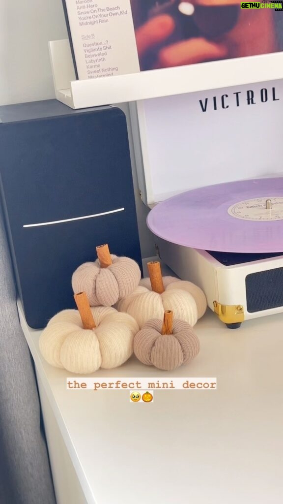T.J. McGibbon Instagram - These are the CUTEST fall/thanksgiving decor and they are super easy to make! I highly suggest watching Gilmore Girls while you sew because sock pumpkins are very much Lorelai Gilmore coded 🍂 #diyfalldecor #falldecor #thanksgivingdecor #thanksgiving #diythanksgiving #sockpumpkins #fallaesthetic