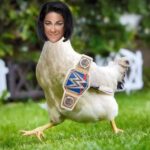 Tamina Instagram - I just want to take this time and thank The Southern Belle @laceyevanswwe for her help last night on #smackdownlive🔵 and putting that chicken in her place, and no I’m not talking about Sassy, but that conniving cheating coward @itsmebayley 🐔 Much Thanks🤙🏽👊🏽🙏🏽 #LimitlessLady #SASSY