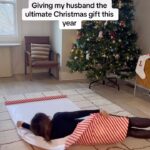 Tammin Sursok Instagram - Am I right or am I right 😂 Merry Christmas. #funnyvideos #christmas