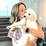 Tammin Sursok Instagram – Stranger danger with Sadie isn’t going well. 🤣 Let me know if you want more Sadie content! 💕

#goldenretriever #puppies #animals #puppylove