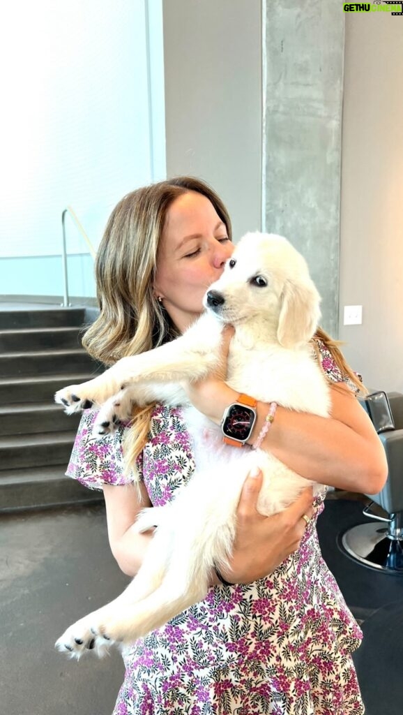 Tammin Sursok Instagram - Stranger danger with Sadie isn’t going well. 🤣 Let me know if you want more Sadie content! 💕 #goldenretriever #puppies #animals #puppylove