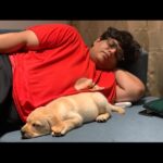 Tanmay Bhat Instagram - Swipe for surprise.