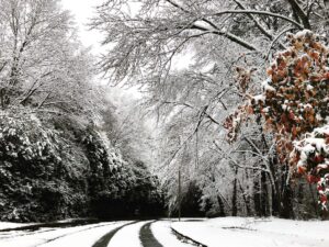 Tanner Buchanan Instagram - I don’t understand this #atlanta snow.