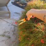 Taryn Manning Instagram - Pruning… #holiday #solitude for you