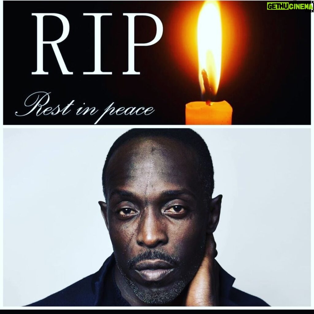 Taryn Manning Instagram - @bkbmg bye buddy bear 😢 my heart. you’re just taken back home is all. See ya soon! My heavens what’s going on with the world? 😢