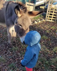 Tatiana-Laurence Delarue Instagram - Attention ⚠️ Partage de bonnes ondes💫💭 Quand deux êtres 👶🏽🫏 magiques se rencontrent ... Câlin d'amour avec l'ânesse💝 La Vie Est Magnifique 🐏🦆🐥🐦🦤🐴🐩🐝 🍯 Avez-vous déjà passé une journée en famille, dans une ferme pédagogique ? #alaferme #fermepedagogique