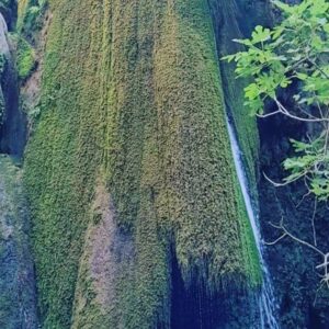 Tatiana-Laurence Delarue Instagram - 🇬🇷🌊Cascade magique⛰️🧗🏼‍♀️
Dans les #richtisgorge

Il faut sous les 40 degrés, ce donner la force pour y parvenir, mais la magie de l'arrivée en vaut la randonnée.

Quelques petites frayeurs de glissade, de jump, de badaboum... Mais 💪🏼

🫶🏼Je ne pense qu'à une seule chose sur place... Vivre ça avec Toi💭🐨
L'année prochaine tu auras 2ans et demi, on partira ensemble mon petit aventurier. 
Je souhaite que tu découvres ce monde féerique, que nous offre notre si belle 🌎
❤️ 

#cascade #waterfall #greece #crete #trek  #richtisgorge #grece #trekking #randonnée