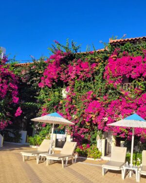 Tatiana-Laurence Delarue Instagram - Après une douce nuit sous les cymbalisations des cigales, le étoiles par milliers et les #bougainvillea plus belles dheure en heure selon la luminosité du soleil, je prend la décision de partir à l'aventure. 🧗🏼‍♀️
Il y a un grand nombre de gorges à visiter, plus incroyables les unes que les autres, si on se donne la peine de faire des randonnées de plusieurs heures, pour les découvrir. 

Mais! La Crète est magique pour ça....
Sur la route, de secrète criques ce cachent dans tous les recoins de l'île, il suffit d'oser s'y aventurer et, on peut se baigner dans l'eau des lagons transparentes, au panaché de bleu vraiment unique ...

En route pour le trekking... un joyaux m'attend !

#crete #ile #grece #beach #lagoon #sea #hikinggorge #hiking #randonnée #trekking #escalade

👼🏽💭❤️