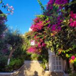 Tatiana-Laurence Delarue Instagram - Après une douce nuit sous les cymbalisations des cigales, le étoiles par milliers et les #bougainvillea plus belles dheure en heure selon la luminosité du soleil, je prend la décision de partir à l'aventure. 🧗🏼‍♀️ Il y a un grand nombre de gorges à visiter, plus incroyables les unes que les autres, si on se donne la peine de faire des randonnées de plusieurs heures, pour les découvrir. Mais! La Crète est magique pour ça.... Sur la route, de secrète criques ce cachent dans tous les recoins de l'île, il suffit d'oser s'y aventurer et, on peut se baigner dans l'eau des lagons transparentes, au panaché de bleu vraiment unique ... En route pour le trekking... un joyaux m'attend ! #crete #ile #grece #beach #lagoon #sea #hikinggorge #hiking #randonnée #trekking #escalade 👼🏽💭❤️