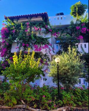 Tatiana-Laurence Delarue Instagram - Après une douce nuit sous les cymbalisations des cigales, le étoiles par milliers et les #bougainvillea plus belles dheure en heure selon la luminosité du soleil, je prend la décision de partir à l'aventure. 🧗🏼‍♀️
Il y a un grand nombre de gorges à visiter, plus incroyables les unes que les autres, si on se donne la peine de faire des randonnées de plusieurs heures, pour les découvrir. 

Mais! La Crète est magique pour ça....
Sur la route, de secrète criques ce cachent dans tous les recoins de l'île, il suffit d'oser s'y aventurer et, on peut se baigner dans l'eau des lagons transparentes, au panaché de bleu vraiment unique ...

En route pour le trekking... un joyaux m'attend !

#crete #ile #grece #beach #lagoon #sea #hikinggorge #hiking #randonnée #trekking #escalade

👼🏽💭❤️