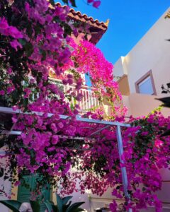 Tatiana-Laurence Delarue Instagram - Après une douce nuit sous les cymbalisations des cigales, le étoiles par milliers et les #bougainvillea plus belles dheure en heure selon la luminosité du soleil, je prend la décision de partir à l'aventure. 🧗🏼‍♀️ Il y a un grand nombre de gorges à visiter, plus incroyables les unes que les autres, si on se donne la peine de faire des randonnées de plusieurs heures, pour les découvrir. Mais! La Crète est magique pour ça.... Sur la route, de secrète criques ce cachent dans tous les recoins de l'île, il suffit d'oser s'y aventurer et, on peut se baigner dans l'eau des lagons transparentes, au panaché de bleu vraiment unique ... En route pour le trekking... un joyaux m'attend ! #crete #ile #grece #beach #lagoon #sea #hikinggorge #hiking #randonnée #trekking #escalade 👼🏽💭❤️