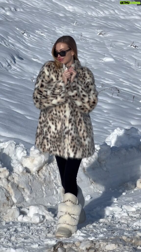 Taylor Mega Instagram - Snow leopard 🐆 Voi siete più da neve o da mare?