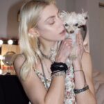 Taylor Momsen Instagram - With the heaviest of hearts, I have to tell you all…on Friday March 8th, I lost my beloved life long soulmate Petal. Petal has been with me for over half of my life. For 16 years we shared everything together. She lived the fullest of lives..she toured the world, she lived in NYC, islands in Maine, sunny LA..she’s been in recording studios and TV sets and video shoots..planes, trains, boats, busses and cars. She was always by my side and I miss her like a piece of my heart. Here’s to Petal, the wonder dog and the tiniest beautiful flower that gave me so much love. I’m the luckiest person to have had you, I’ll always love you Petal and you’ll always be in my heart…I miss you more than words can express ❤️❤️❤️💔💔💔 thank you to everyone who shared love for her and helped take care of her over the years.